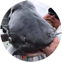 Jon Fuqua profile picture